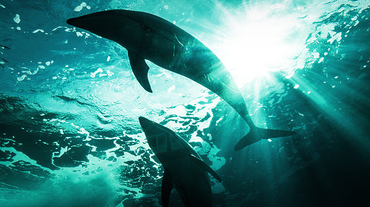 The Wonderful Ocean -03