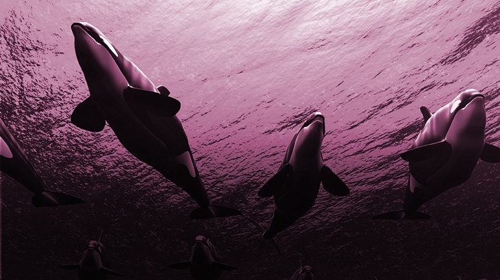 The Wonderful Ocean -02